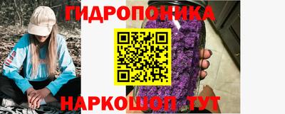 трава Кандалакша