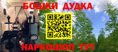 трава Кандалакша