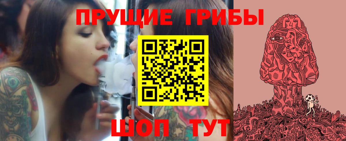Псилоцибиновые грибы Cubensis Лесозаводск
